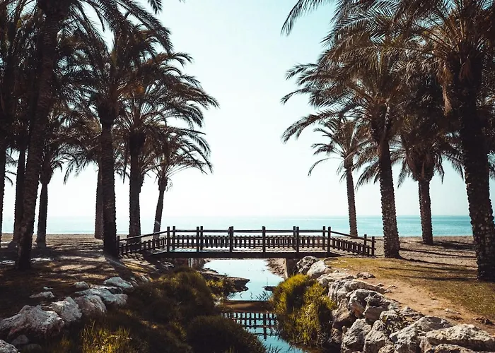 Acogedor Estudio En Centro *